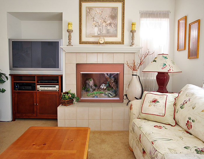 36TC-fireplace.jpg