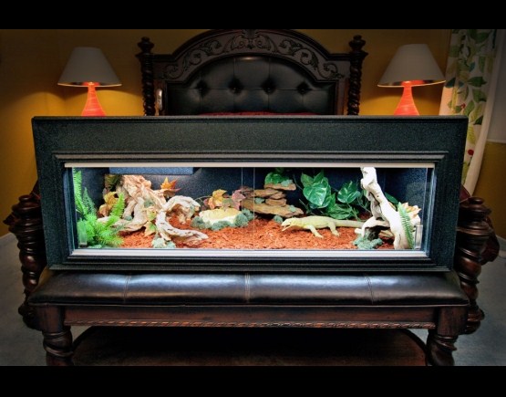 Bearded Dragon Cage Habitat