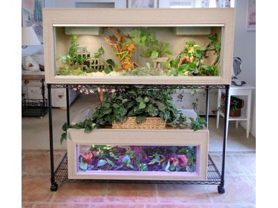 reptile tank and stand